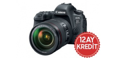 Canon EOS 6D Mark II 24-105mm