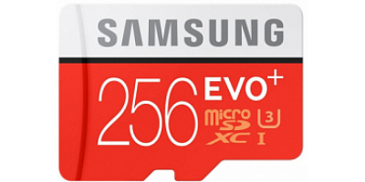 Samsung MSD 10cl Evo Plus UHS-1 w/a 256GB (MB-MC256DA/AM)