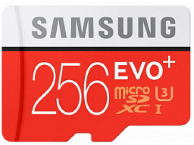 Samsung MSD 10cl Evo Plus UHS-1 w/a 256GB (MB-MC256DA/AM)