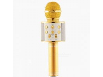 Karaoke WIRELESS Microfon WSTER (WS-858)