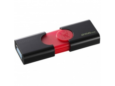 Kingston 256GB USB 3.0 DataTraveler 110